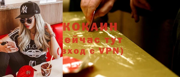 шишки Арсеньев