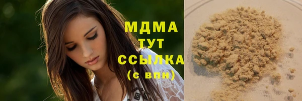 шишки Арсеньев