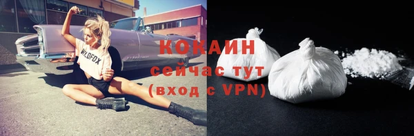 шишки Арсеньев