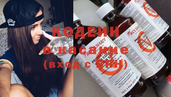 шишки Арсеньев