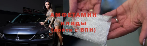 шишки Арсеньев