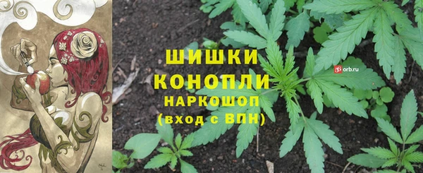шишки Арсеньев