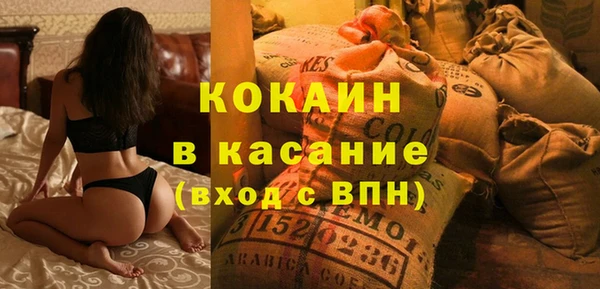 шишки Арсеньев