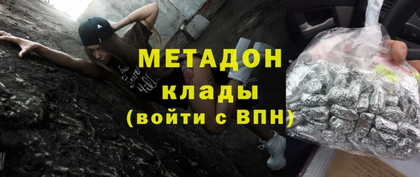 шишки Арсеньев