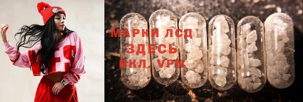 трава Аркадак