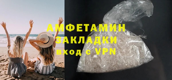 шишки Арсеньев